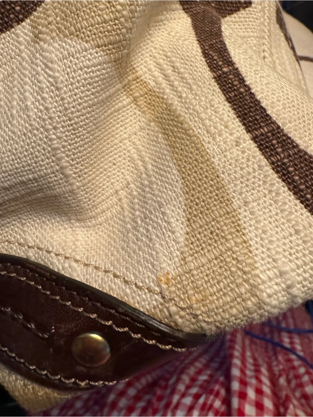 coach carly bag